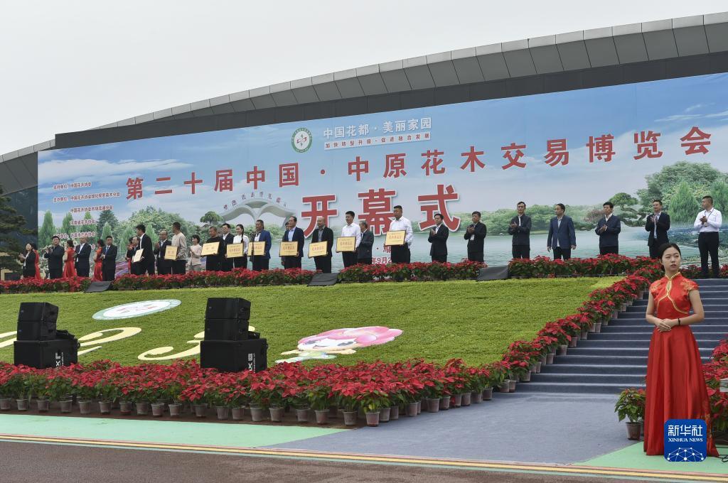 聚游网游戏平台下载